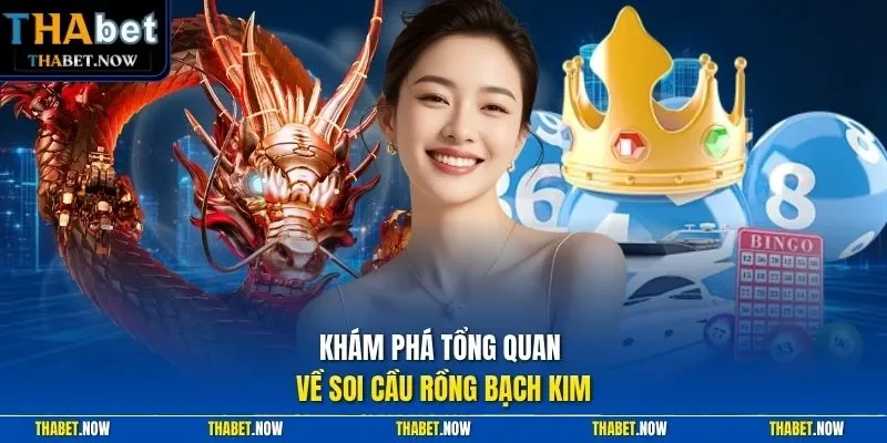 Khám phá tổng quan về soi cầu rồng bạch kim